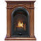 ProCom Dual Fuel Ventless Gas Fireplace System - 10,000 BTU, T-Stat Control, Apple Spice Finish - Model# FS100T-AS