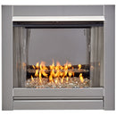 Bluegrass Living Vent-Free Stainless Outdoor Gas Fireplace Insert With Crystal Fire Glass Media - 24,000 BTU - Model