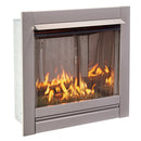 Bluegrass Living Stainless Outdoor Gas Fireplace Insert With Reflective Emerald Glass Media - 24,000 BTU, Manual Control - Model