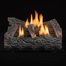 Duluth Forge Ventless Natural Gas Log Set - 21 in. Winter Oak, 32,000 BTU, Manual Control - Model