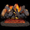 Duluth Forge Vented Natural Gas Fireplace Log Set - 24 in., 55,000 BTU, Match Light, Heartland Oak - Model# FNVL24-1