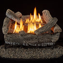 Bluegrass Living Vent Free Propane Gas Log Set - 18 Inch Traditional Oak, 30,000 BTU, Remote Control - Model