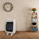 Factory Reconditioned Blue Flame Gas Heater 10,000 BTU-Dual Fuel. Model