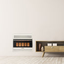 ProCom Dual Fuel Ventless Infrared Heater - 30,000 BTU, T-Stat Control - Model