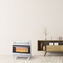 ProCom Dual Fuel Ventless Infrared Heater - 30,000 BTU, T-Stat Control - Model