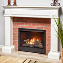 Duluth Forge Dual Fuel Ventless Gas Fireplace Insert - 26,000 BTU, T-Stat Control - Model