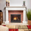 Duluth Forge Dual Fuel Ventless Gas Fireplace Insert - 26,000 BTU, T-Stat Control - Model