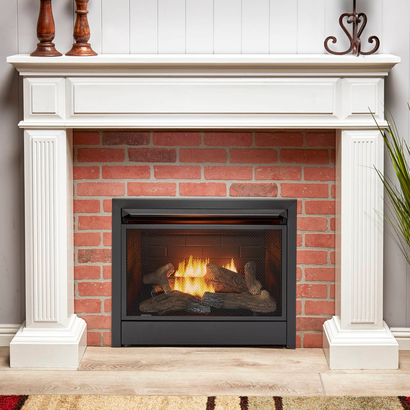 Duluth Forge Dual Fuel Ventless Gas Fireplace Insert - 26,000 BTU, T-Stat Control - Model