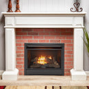 Duluth Forge Dual Fuel Ventless Gas Fireplace Insert - 26,000 BTU, Remote Control - Model