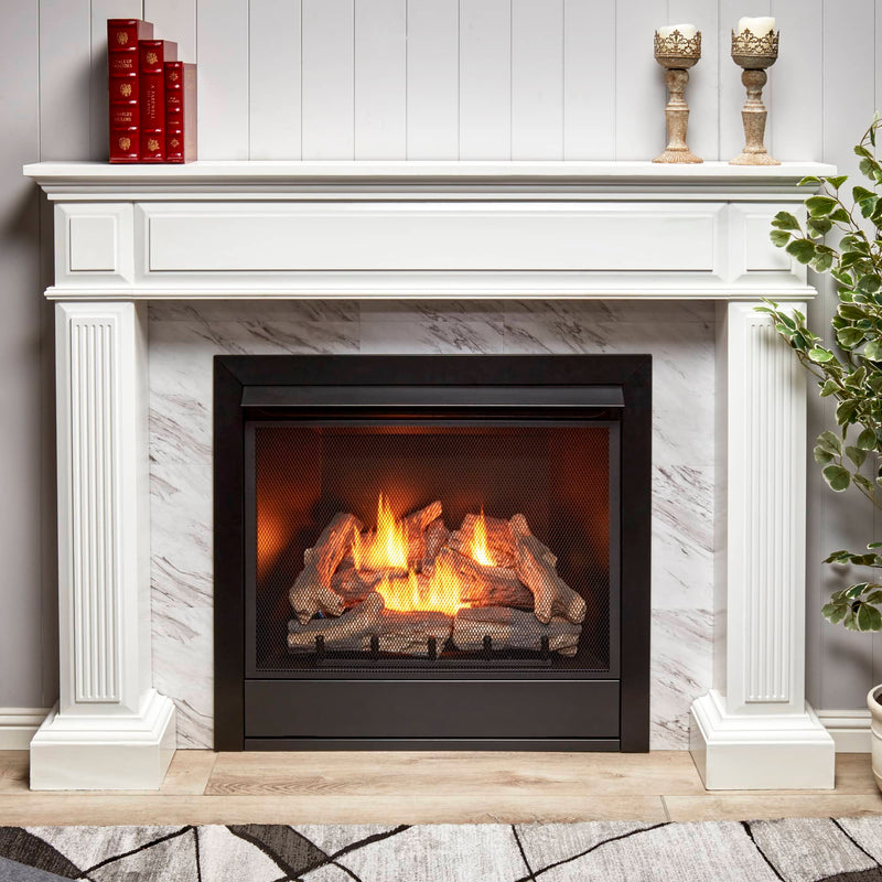 Duluth Forge Dual Fuel Ventless Gas Fireplace Insert - 32,000 BTU, Remote Control - Model