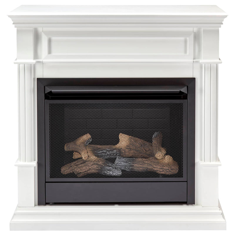 Duluth Forge Dual Fuel Ventless Gas Fireplace - 26,000 BTU, Remote Control, Antique White Finish