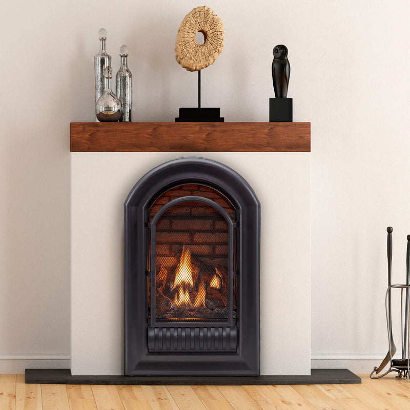 HearthSense A-Series Liquid Propane Ventless Fireplace Insert - 20,000 BTU, Millivolt Control - Model