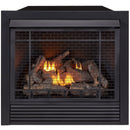 Duluth Forge Dual Fuel Ventless Gas Fireplace Insert - 32,000 BTU, Remote Control - Model