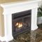 Duluth Forge Dual Fuel Ventless Gas Fireplace Insert - 32,000 BTU, T-Stat Control - Model