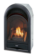 ProCom Dual Fuel Ventless Gas Fireplace Insert - Arched Door, 10,000 BTU, T-Stat Control - Model