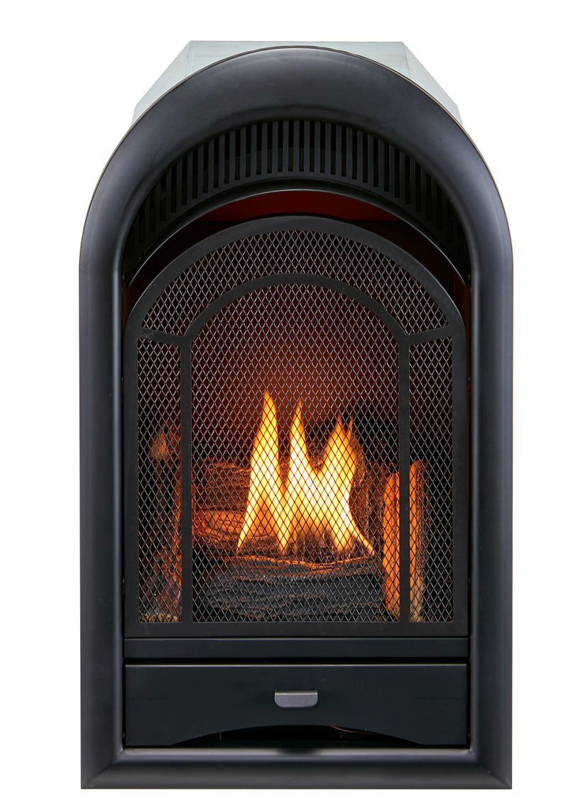 ProCom Dual Fuel Ventless Gas Fireplace Insert - Arched Door, 15,000 BTU, T-Stat Control - Model
