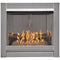 Bluegrass Living Vent-Free Stainless Outdoor Gas Fireplace Insert With Crystal Fire Glass Media - 24,000 BTU - Model# BL450SS-G