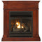 ProCom Dual Fuel Vent Free Gas Fireplace System - 32,000 BTU, Remote Control, Autumn Spice Finish - Model# FBNSD400RT-1AT