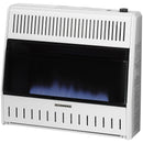 ProCom Dual Fuel Ventless Blue Flame Heater - 30,000 BTU, T-Stat Control - Model