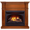 ProCom Dual Fuel Vent Free Gas Fireplace System - 26,000 BTU, T-Stat Control, Apple Spice Finish - Model# FBNSD28T-3AS