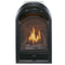 Bluegrass Living Vent Free Propane Gas Fireplace Insert - 10,000 BTU, T-Stat Control, Zero Clearance Design, Ceramic Fiber Brick Liner - Model# B100TP