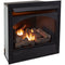 ProCom 32in. Zero Clearance Fireplace Insert With Remote Control - Model# FBNSD32RT
