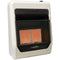 Lost River Reconditioned Natural Gas Ventless Infrared Radiant Plaque Heater - 20,000 BTU, T-Stat Control - Model# LR2TIR-NG-R