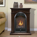 Bluegrass Living Vent Free Natural Gas Fireplace System - 10,000 BTU, T-Stat Control, Chocolate Finish - Model