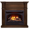 ProCom Dual Fuel Vent Free Gas Fireplace System - 26,000 BTU, T-Stat Control, Gingerbread Finish - Model# FBNSD28T-3G